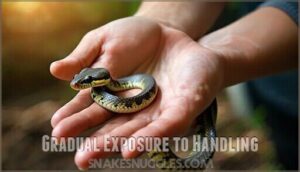 gradual exposure to handling