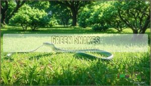 green snakes