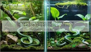 green snakes in captivity