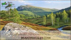 habitat of the european adder