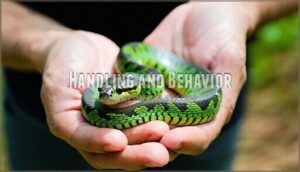 handling and behavior