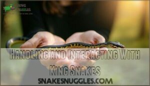 handling and interacting with king snakes