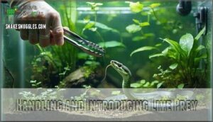handling and introducing live prey