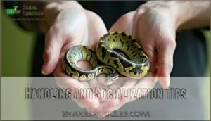 handling and socialization tips handling and socialization tips