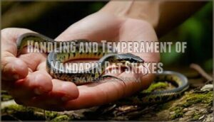 handling and temperament of mandarin rat snakes