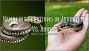 handling reactions in juveniles vs. adults