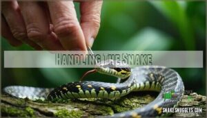 handling the snake
