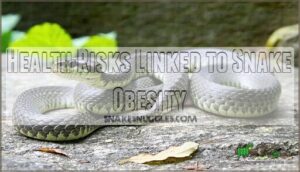 health risks linked to snake obesity