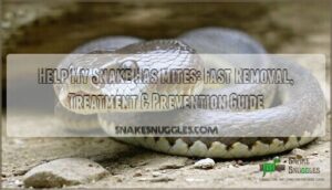 help my snake has mites