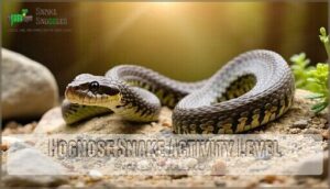 hognose snake activity level
