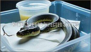 home care for infected snakes