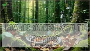 how are snakes useful to humans how are snakes useful to humans