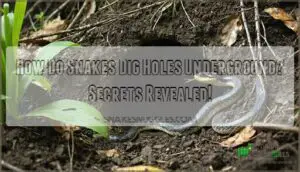 how do snakes dig holes underground