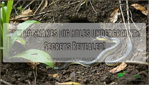 How Do Snakes Dig Holes Underground? Secrets Revealed!