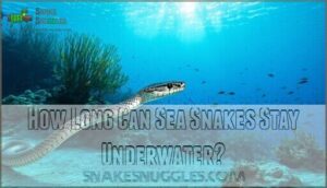 how long can sea snakes stay underwater