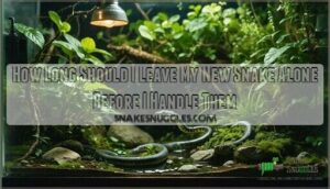 how long should i leave my new snake alone before i handle them