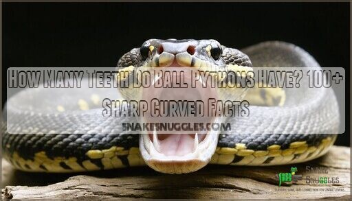 How Many Teeth Do Ball Pythons Have? 100+ Sharp Curved Facts
