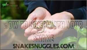 how to bond with your snake