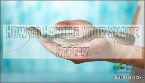 how to handle your snake safely