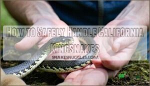 how to safely handle california kingsnakes