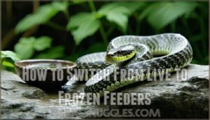 how to switch from live to frozen feeders