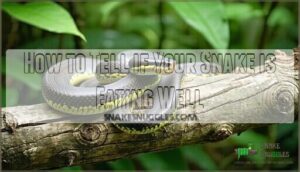 how to tell if your snake is eating well