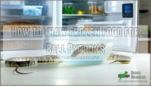 how to thaw frozen food for ball pythons