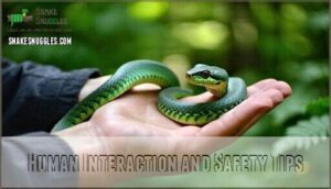 human interaction and safety tips