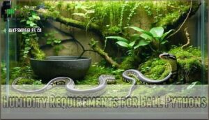 humidity requirements for ball pythons