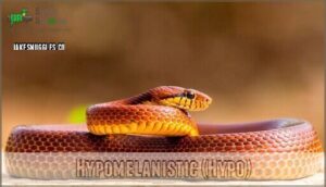 hypomelanistic (hypo)