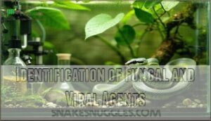 identification of fungal and viral agents