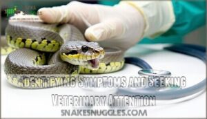 identifying symptoms and seeking veterinary attention