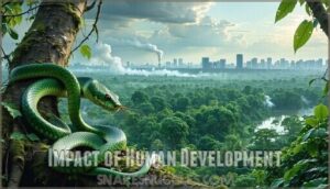 impact of human development