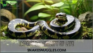 impact on quality of life