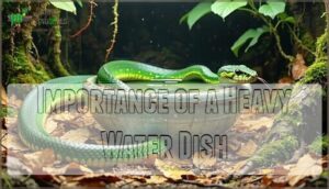 importance of a heavy water dish