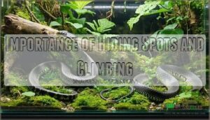 importance of hiding spots and climbing