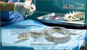 importance of regular veterinary check-ups