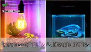 incandescent bulbs vs. ceramic heaters