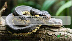 incomplete shedding