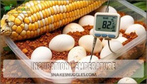 incubation temperature