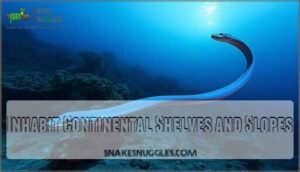 inhabit continental shelves and slopes