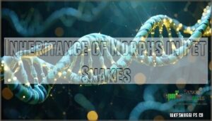 inheritance of morphs in pet snakes