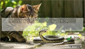 injury risks from non-venomous snakes