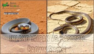inland taipan vs. eastern brown snake