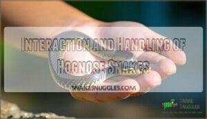 interaction and handling of hognose snakes