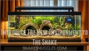 introduce the new environment to the snake