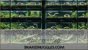 inventory levels on major online marketplaces