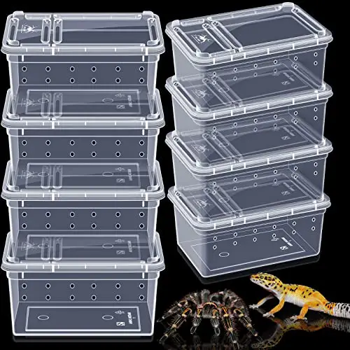 Understanding Snake Breeding Cycles: Anatomy, Patterns & Factors - Isolation Housing For Venomous Snake Breeding