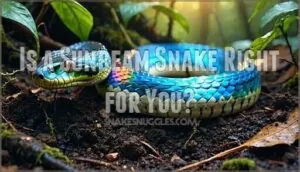 is a sunbeam snake right for you is a sunbeam snake right for you