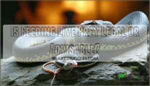 is feeding live prey legal or advisable
